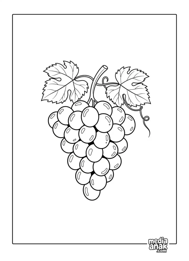Gambar sketsa mewarnai satu tangkai buah anggur dengan dua daun, cocok untuk anak PAUD dan TK.