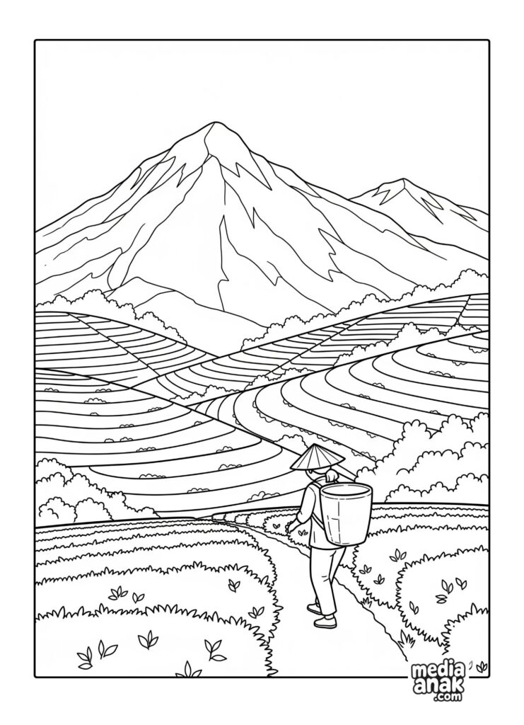 Gambar sketsa mewarnai pemandangan perkebunan teh yang hijau berundak-undak di lereng gunung dengan seorang pemetik teh.