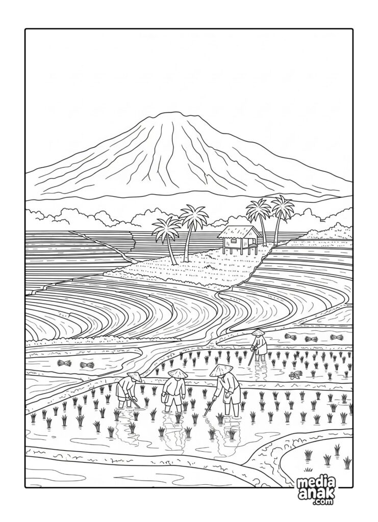 Gambar sketsa mewarnai pemandangan petani sedang menanam padi di sawah terasering dengan latar belakang gunung.