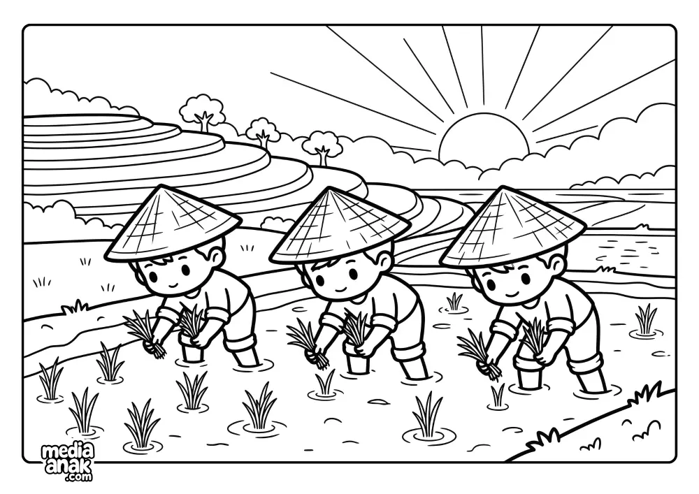 Menanam Padi Pagi Hari