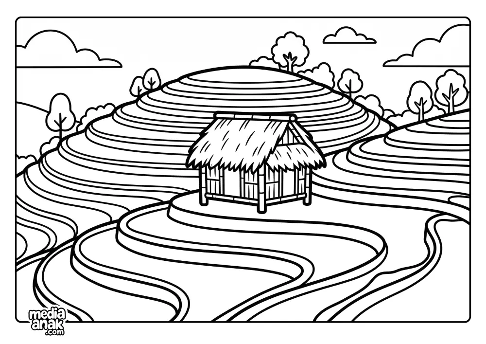 Gubuk Sawah Hamparan Sawah Terasiring